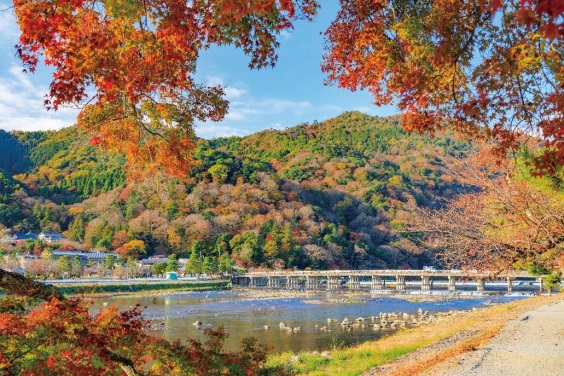 阪急交通社のアンケート調査、公開夏紅葉狩りの旅行先ランキング！