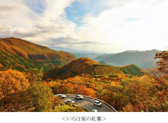 阪急交通社のアンケート調査、公開夏紅葉狩りの旅行先ランキング！