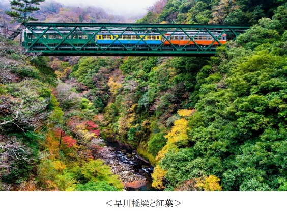 阪急交通社のアンケート調査、公開夏紅葉狩りの旅行先ランキング！