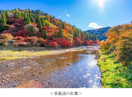 阪急交通社のアンケート調査、公開夏紅葉狩りの旅行先ランキング！
