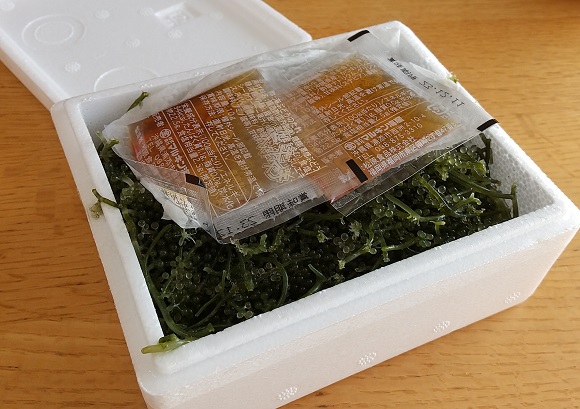 沖縄から直送の海ぶどう