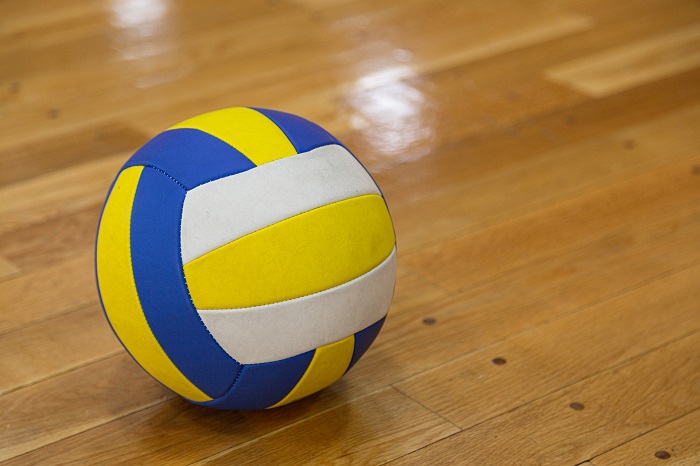 Vリーグ・ツイッターフォロワー数ランキング【2023年5月23日時点】